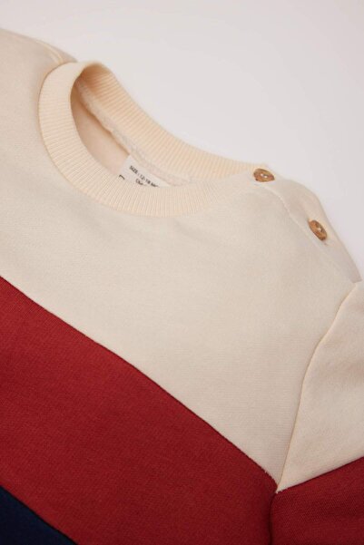 DeFacto Erkek Bebek 2'li Takım Renk Bloklu İçi Yumuşak Tüylü Sweatshirt Beli Lastikli Eşofman Altı Y1410A224