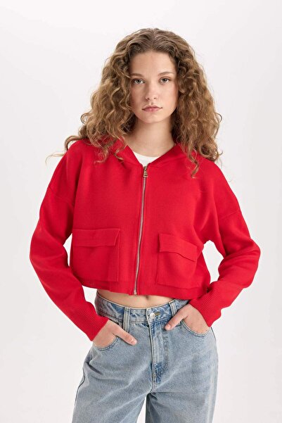 DeFacto Regular Fit Kapüşonlu Basic Düz Fermuarlı Triko Hırka E2270AXNS