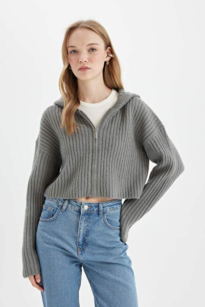 DeFacto Regular Fit Kapüşonlu Fermuarlı Triko Hırka C7335AX24WN