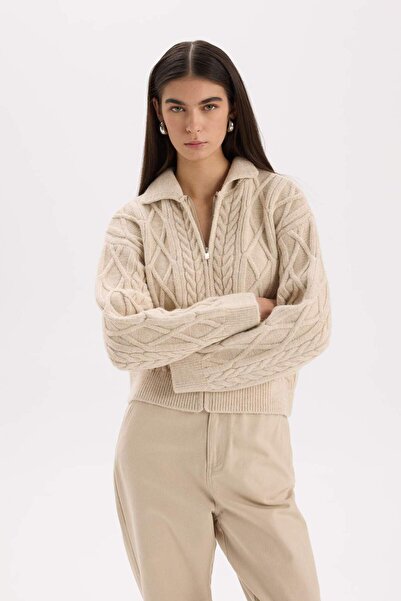 DeFacto Regular Fit Polo Yaka Fermuarlı Triko Hırka D9160AX24WN