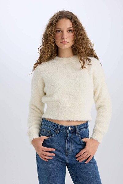 DeFacto Regular Fit Bisiklet Yaka Triko Kazak C6320AX24CW