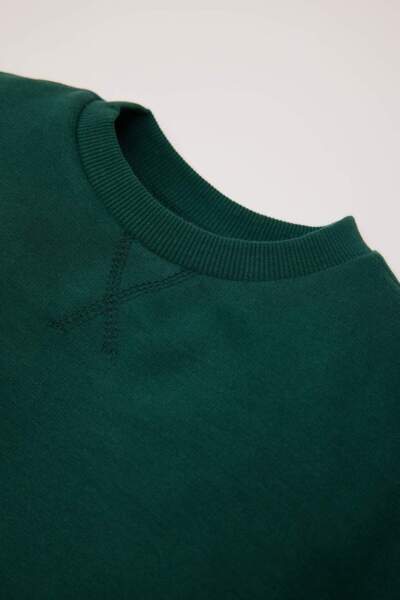 DeFacto Baby Boy Crew Neck Soft Fleece Basic Plain Sweatshirt A7433A524Wn