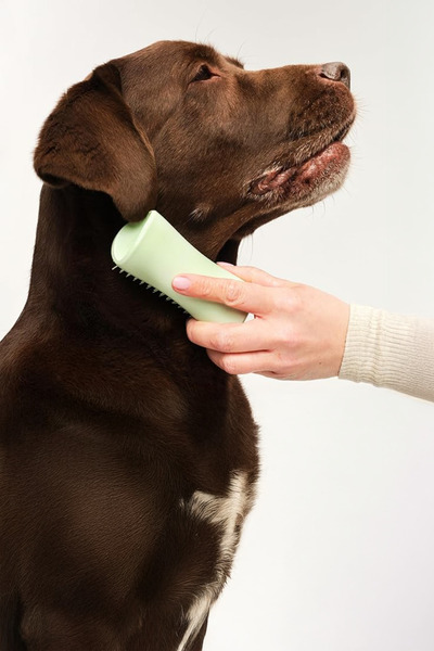 Tangle Teezer Pet Teezer-Puppy Brush-Green/Green