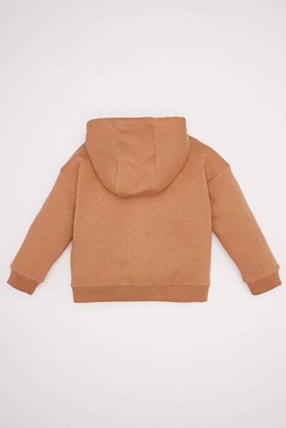 DeFacto Kız Bebek Kapüşonlu Basic Düz İçi Yumuşak Tüylü Fermuarlı Sweatshirt D0750A524AU