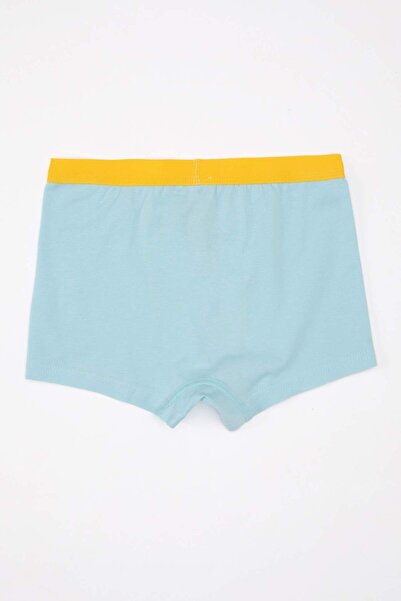 DeFacto Erkek Çocuk Hayvan Baskılı 3lü Boxer C4199A824AU