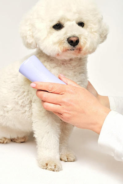 Tangle Teezer Pet teezer small detangling - lilac / yellow - 5060630041717