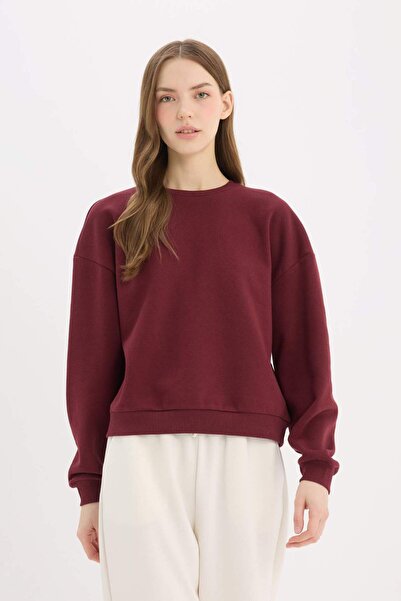 DeFacto Regular Fit Bisiklet Yaka Kalın Basic Düz Sweatshirt D6645AX24WN