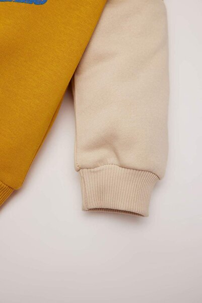 DeFacto Erkek Bebek Bisiklet Yaka İçi Yumuşak Tüylü Baskılı Sweatshirt D6755A524WN
