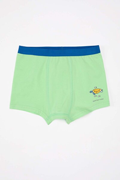 DeFacto Erkek Çocuk Hayvan Baskılı 3lü Boxer C4199A824AU