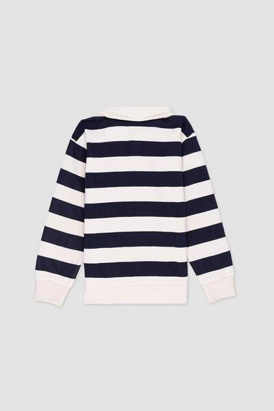 DeFacto Erkek Çocuk Polo Yaka Çizgili Nakışlı Sweatshirt C9795A824AU