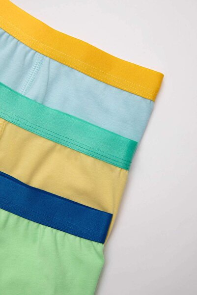 DeFacto Erkek Çocuk Hayvan Baskılı 3lü Boxer C4199A824AU