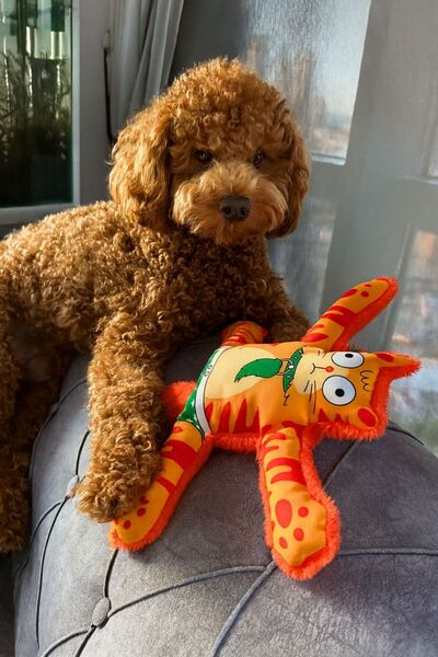 Havhav Mihav Sesli Köpek Oyuncağı | Vikvik ve Hışırtılı Turuncu Kedi Şekilli Aktivite Oyuncağı