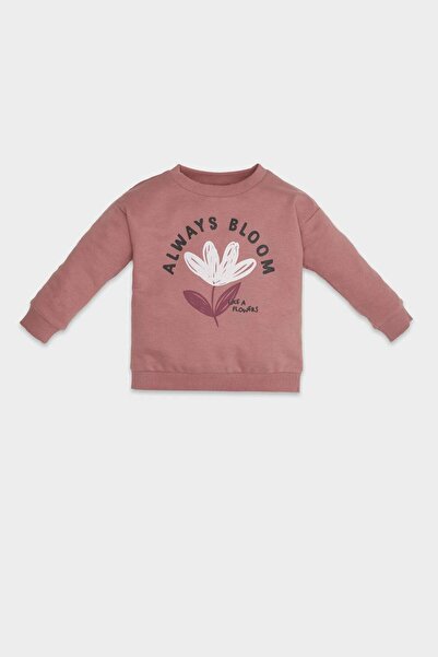 DeFacto Kız Bebek Bisiklet Yaka Çiçekli Sweatshirt D1663A524WN