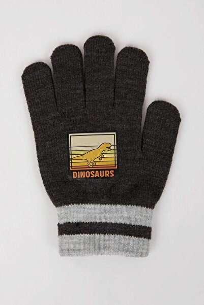 DeFacto Boy's Printed Knitwear Gloves S0406A624Wn
