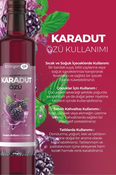COLLAGEN LIFE Karadut Özü Black Mulberry Extract 670g