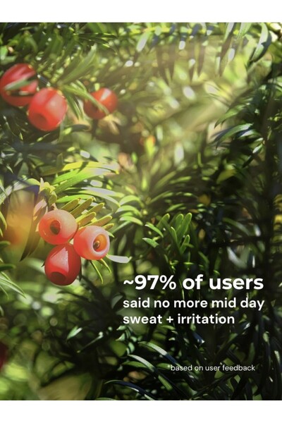 Intimate Queen Yew Tree Bae Hipsters – Antibacterial Calm, Made with Yew Tree Fiber | Silk-Soft & pH Balancing