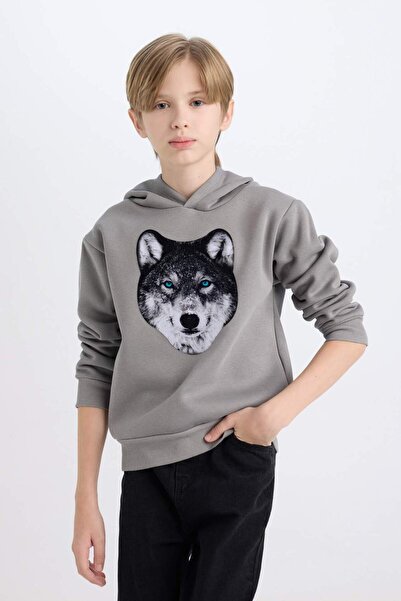 DeFacto Boy's Hooded Printed Sweatshirt B2076A824Wn