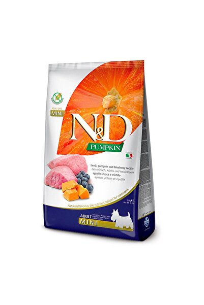 N&D Tahılsız Kuzulu&Balkabaklı Mini Irk Yetişkin Köpek Maması 2,5 KG