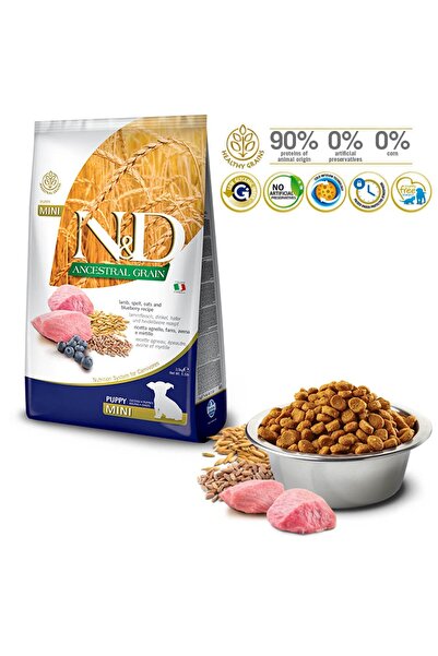 N&D Az Tahıllı Kuzulu&Yabanmersinli Mini Irk Yavru Köpek Maması 2,5 Kg