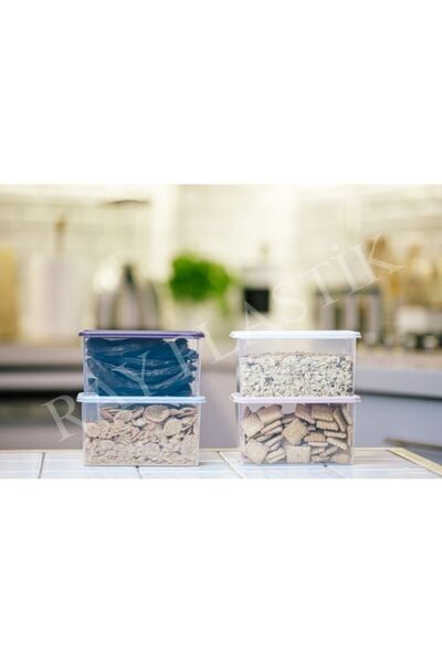 ray plastik 4 Pieces Mini Storage Container Colorful Lid 600 ml