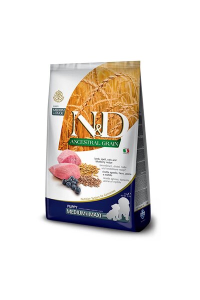 N&D Az Tahıllı Kuzulu Orta-Büyük Irk Yavru Köpek Maması 12 KG