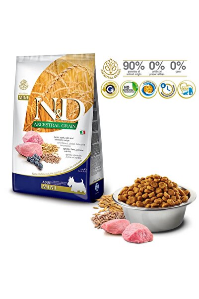 N&D Az Tahıllı Kuzulu&Yabanmersinli Mini Irk Yetişkin Köpek Maması 2,5 KG