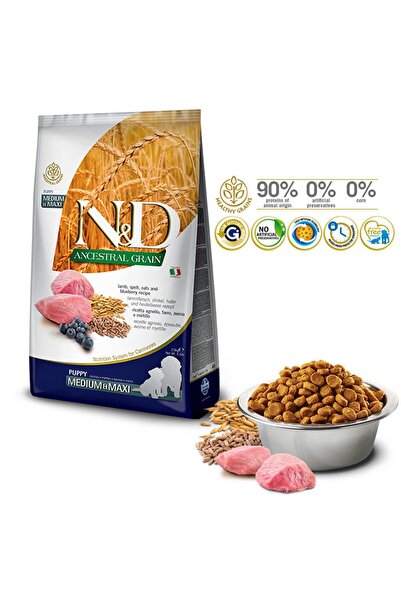 N&D Az Tahıllı Kuzulu Orta-Büyük Irk Yavru Köpek Maması 12 KG