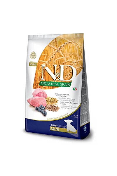 N&D Az Tahıllı Kuzulu&Yabanmersinli Mini Irk Yavru Köpek Maması 2,5 Kg