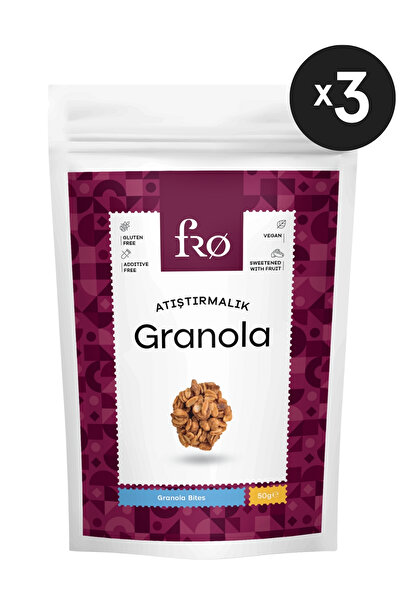 FRO 3'lü Atıştırmalık Granola Vegan Glutensiz Şekersiz Atıştırmalık Sağlıklı Ara Öğün Granola