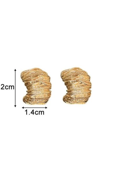 Generic Youth Gold earrings EG880