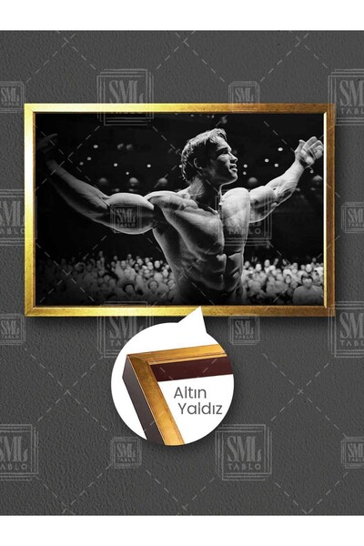 SML TABLO Fitness Spor Salon Motivasyon Arnold Schwarzenegger Mr Olympia Post...