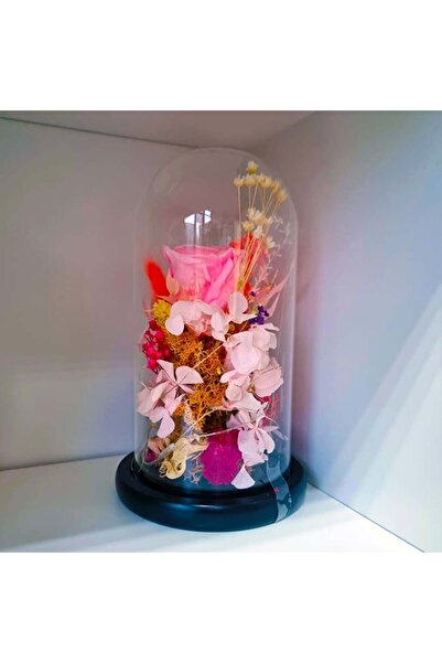 velve Buchet de trandafiri criogenat in cupola de sticla cu LED, roz, 21X12,