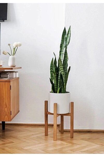 BfdShop Saksı Altlığı - Saksı Standı