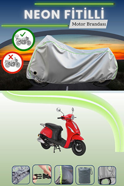 Cemku Shine حقيبة خلفية رمادية اللون ومتوافقة مع قماش نيون فايتل كانوني ترودو...