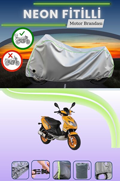 Cemku Shine حقيبة خلفية رمادية اللون ومتوافقة مع قماش نيون فيتيل كيواي فوكس 1...