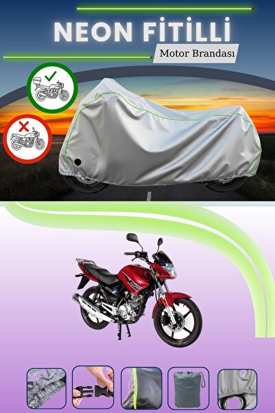 Cemku Shine حقيبة خلفية رمادية اللون ومتوافقة مع قفل نيون فليت أورا AR 125-48...