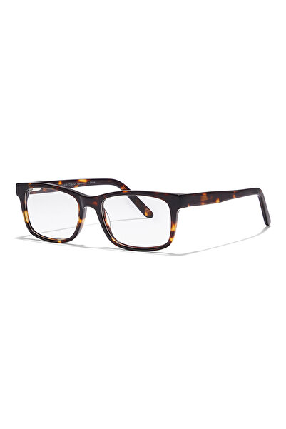 The Optical Club The Omar