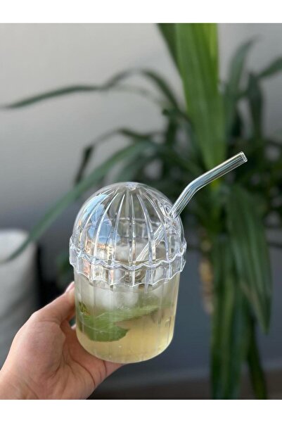 Ünal 4 Pieces Crystal Pinterest Glasses with Glass Straws 400ml Cool Beverage Glasses for Coffee, Lemonade and Presentation