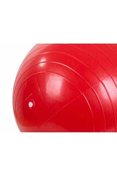 zola Hazelnut fitness ball, 40 x 80 cm, for muscle strengthening, physical fitness and neurological treatment