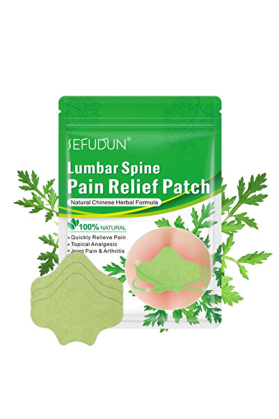 sefudun Plasturi naturali pentru dureri lombare cu plante tradiționale, 12 bu...