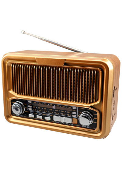 Denx HD Radio, FM/AM/SW, USB/TF/BT Player, Rechargeable Battery