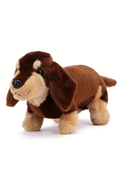 Choice كلب داشهند دوغلاس سباتس، كلب داشهند من القطيفة، قهوة بنية اللون، يحاكي الواقع