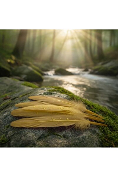 GAFT 6 اكياس ريش ذهبي