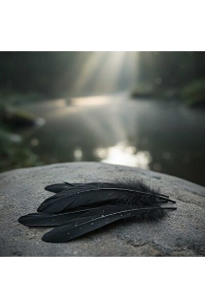 GAFT 6 اكياس ريش اسود