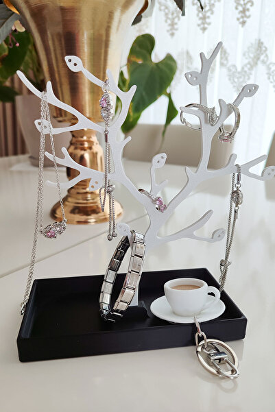 JoyShine حامل مجوهرات أنيق ومنظم، حامل للقلادات والأقراط والخواتم