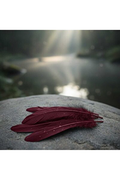 GAFT 6 اكياس ريش البرغندي