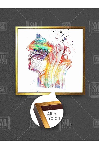 SML TABLO Ear Nose and Throat Examination Room Ent Colorful Head X-Ray Framed Square Canvas Painting