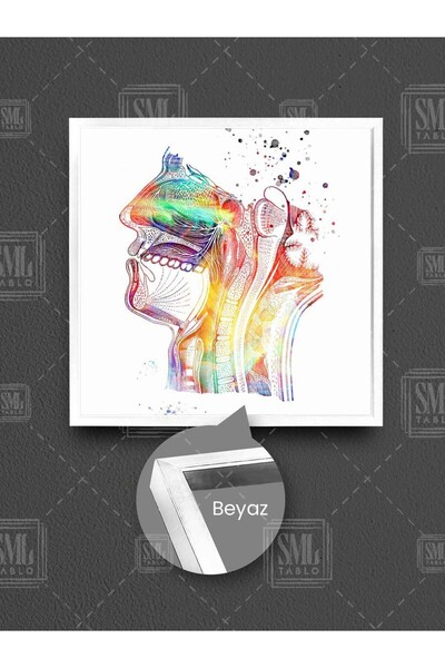 SML TABLO Pictură pe pânză pătrată cu cadru pentru radiografie colorată pentru ureche, nas și gât