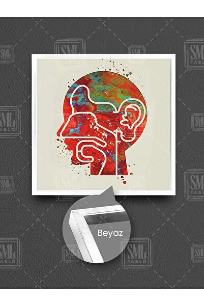 SML TABLO Ilustrație colorată pentru ureche, nas și gât, sala de examinare, tablou pătrat înrămat pe pânză