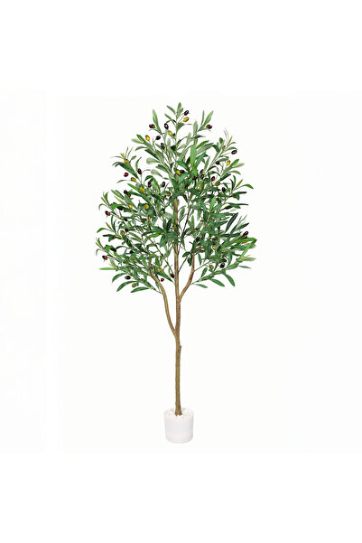 ZVEZVIA شجرة زيتون اصطناعية بطول ١٨٠ سم، واقعية مع ثمار - ديكور رمضاني مثالي ...